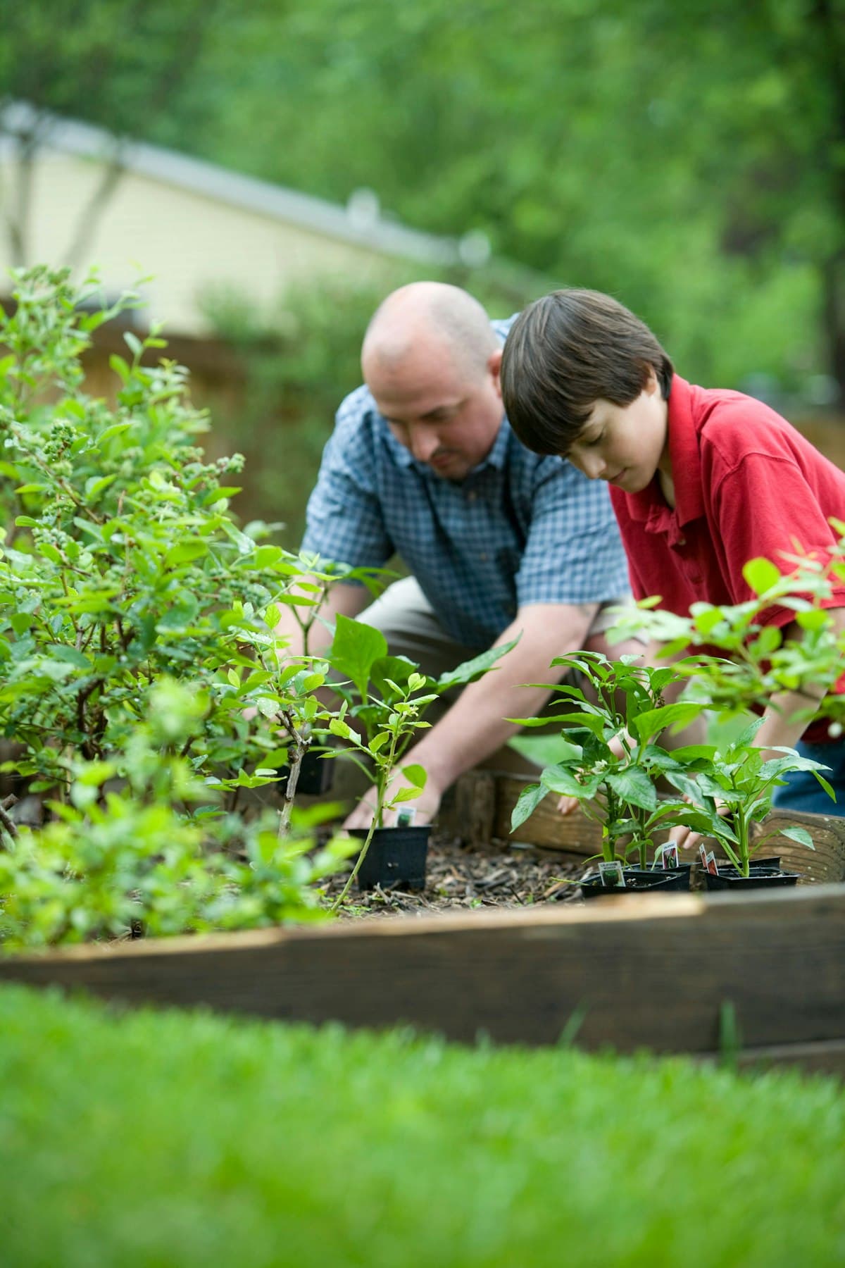 jong en oud, samen aan het werk in de tuin